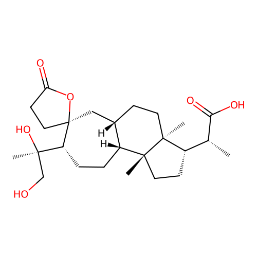 Lancifodilactone F structure
