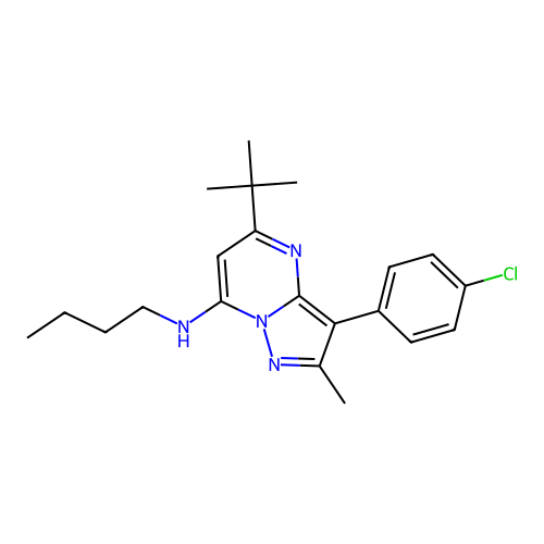 N-butyl-5-tert-butyl-3-(4-chlorophenyl)-2-methylpyrazolo[1,5-a]pyrimidin-7-amine structure