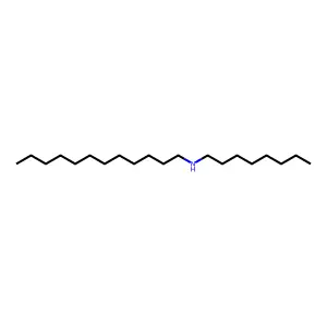 Vesalium structure