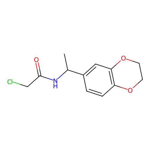 2-chloro-N-[1-(2,3-dihydro-1,4-benzodioxin-6-yl)ethyl]acetamide structure