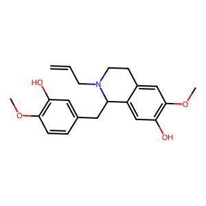 Tetraethoxyallene structure