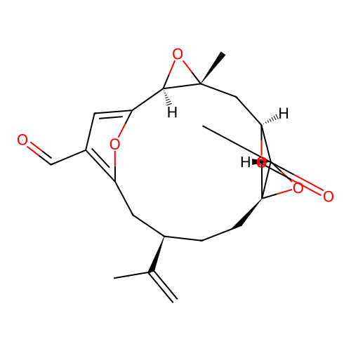 Leptolide structure