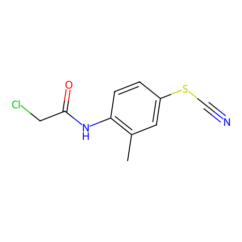 2-chloro-N-[4-(cyanosulfanyl)-2-methylphenyl]acetamide structure