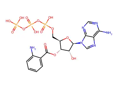 Ant-ATP structure