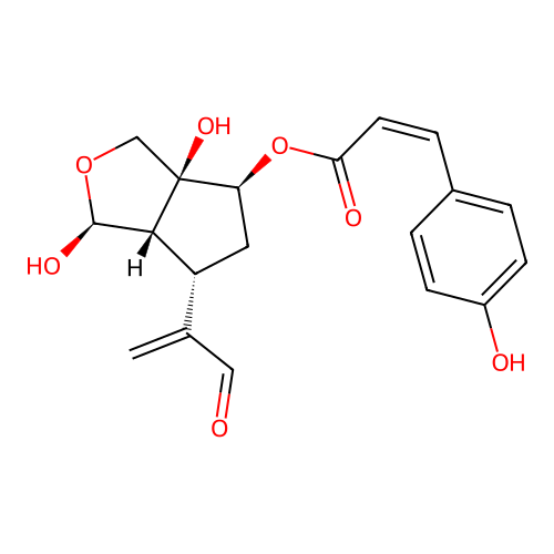 Luzonial B structure