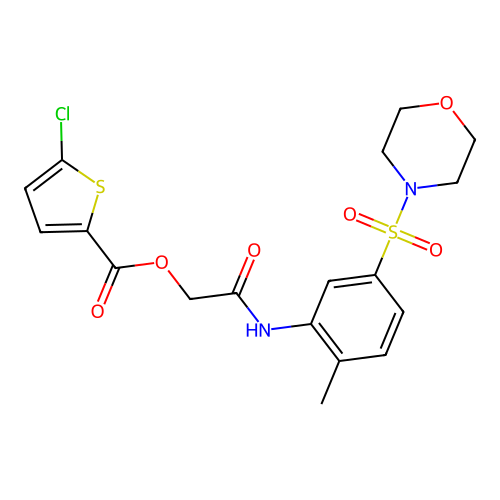 [2-(2-methyl-5-morpholin-4-ylsulfonylanilino)-2-oxoethyl] 5-chlorothiophene-2-carboxylate structure
