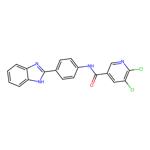 N-[4-(1H-1,3-benzodiazol-2-yl)phenyl]-5,6-dichloropyridine-3-carboxamide structure