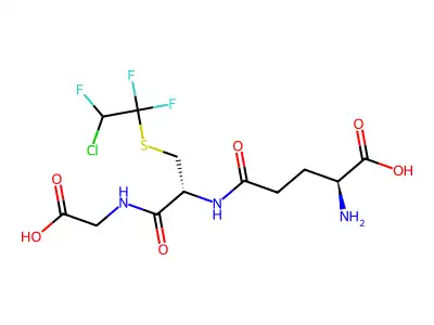 S-(2-chloro-1,1,2-trifluoroethyl)glutathione structure
