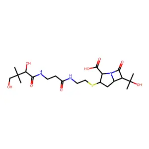 Isobornyl bromoacetate structure