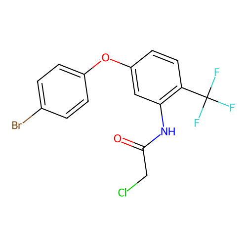 N-[5-(4-bromophenoxy)-2-(trifluoromethyl)phenyl]-2-chloroacetamide structure