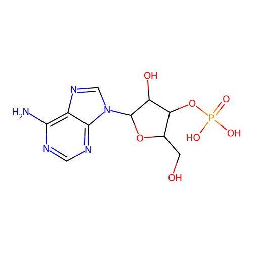 3'-Adenylic acid structure