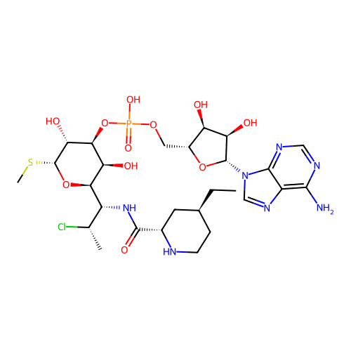 Pirlimycin adenylate structure