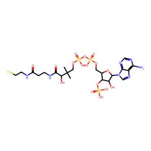 辅酶A structure