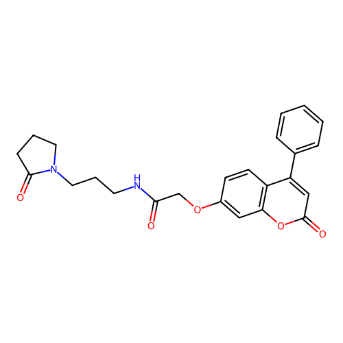 2-((2-oxo-4-phenyl-2H-chromen-7-yl)oxy)-N-(3-(2-oxopyrrolidin-1-yl)propyl)acetamide structure