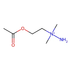 O-acetyl-N-amino-N,N-dimethylaminoethanol structure