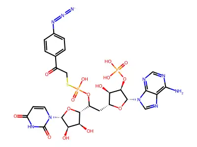 5'-(((4-Azidophenacyl)thio)phosphoryl)adenylyl(3'-5')uridine structure