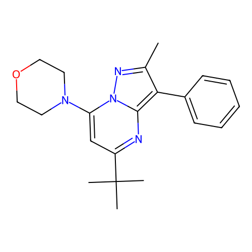 4-(5-(Tert-butyl)-2-methyl-3-phenylpyrazolo[1,5-a]pyrimidin-7-yl)morpholine structure