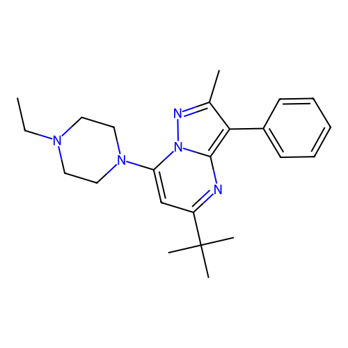 5-tert-butyl-7-(4-ethylpiperazin-1-yl)-2-methyl-3-phenylpyrazolo[1,5-a]pyrimidine structure