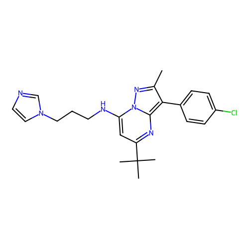 5-tert-butyl-3-(4-chlorophenyl)-N-[3-(1H-imidazol-1-yl)propyl]-2-methylpyrazolo[1,5-a]pyrimidin-7-amine structure