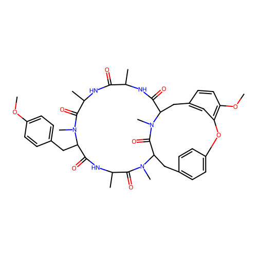 RA VII structure