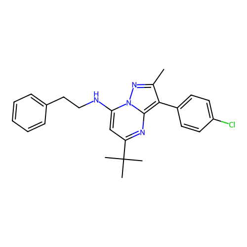 5-tert-butyl-3-(4-chlorophenyl)-2-methyl-N-(2-phenylethyl)pyrazolo[1,5-a]pyrimidin-7-amine structure