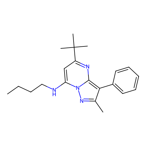 N-butyl-5-tert-butyl-2-methyl-3-phenylpyrazolo[1,5-a]pyrimidin-7-amine structure