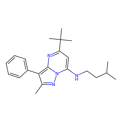 5-tert-butyl-2-methyl-N-(3-methylbutyl)-3-phenylpyrazolo[1,5-a]pyrimidin-7-amine structure