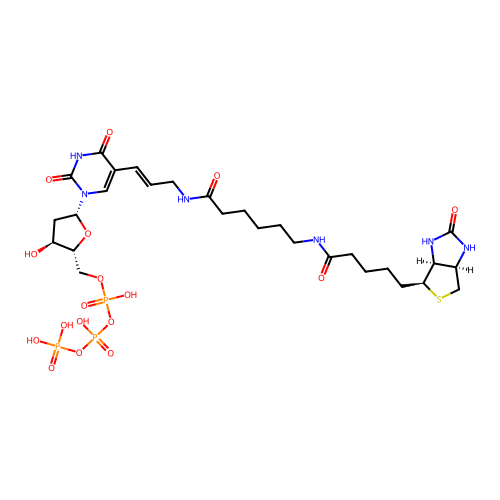 biotin-11-dUTP structure
