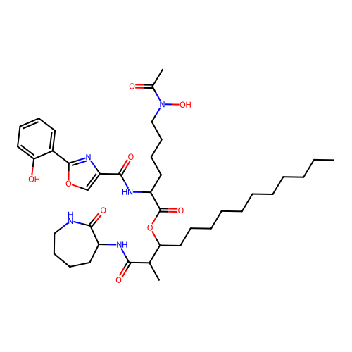 Nocardimicin C structure