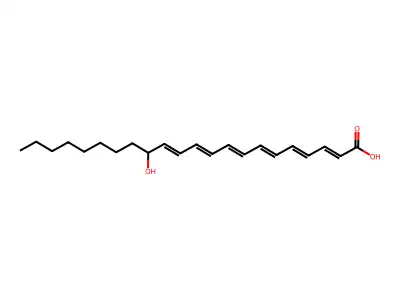 14-Hydroxydocosa-2,4,6,8,10,12-hexaenoic acid structure