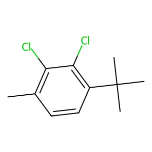 1-Tert-butyl-2,3-dichloro-4-methylbenzene structure