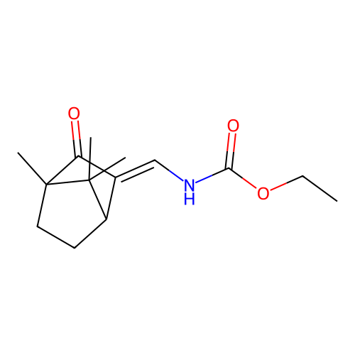 (2-oxo-bornan-3-ylidenemethyl)-carbamic acid ethyl ester structure
