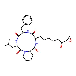 WF 3161 structure