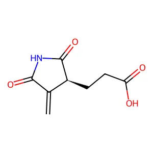 3-(4-Methylidene-2,5-dioxopyrrolidin-3-yl)propanoic acid structure