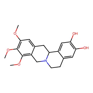 IS 35 structure