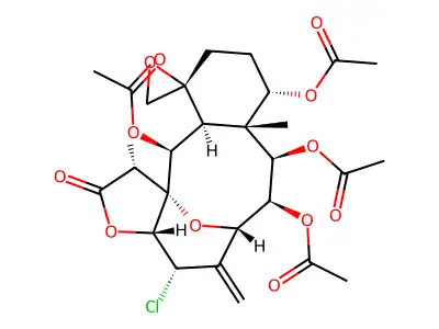 Praelolide structure