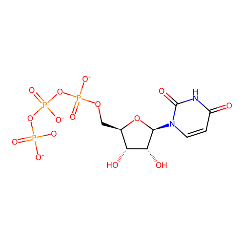 Uridine 5'-(tetrahydrogen triphosphate), ion(4-) structure