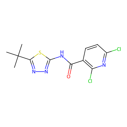 N-(5-tert-butyl-1,3,4-thiadiazol-2-yl)-2,6-dichloropyridine-3-carboxamide structure