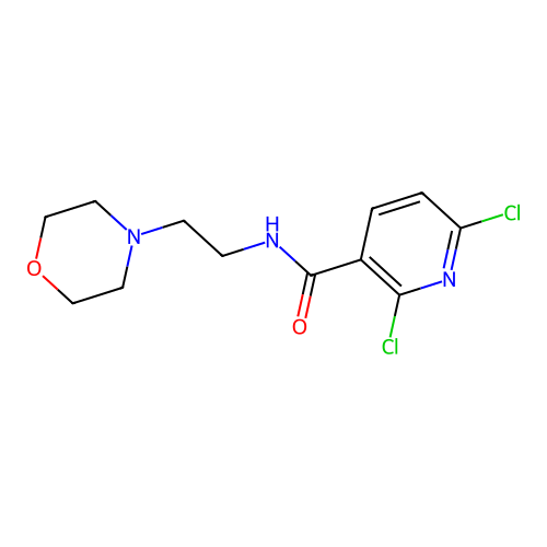2,6-dichloro-N-(2-morpholinoethyl)nicotinamide structure