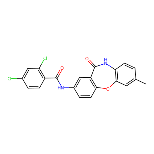 2,4-dichloro-N-(2-methyl-6-oxo-5H-benzo[b][1,4]benzoxazepin-8-yl)benzamide structure