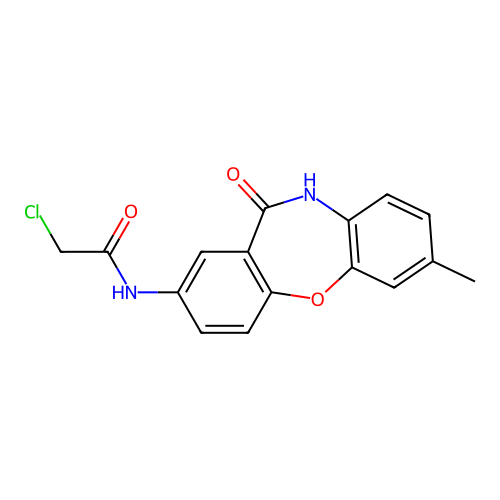 2-chloro-N-(2-methyl-6-oxo-5H-benzo[b][1,4]benzoxazepin-8-yl)acetamide structure