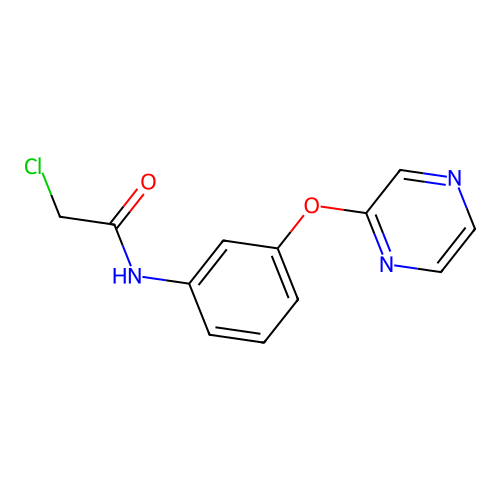 2-chloro-N-[3-(2-pyrazinyloxy)phenyl]acetamide structure