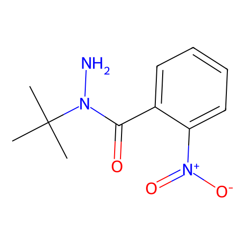 N-tert-butyl-2-nitrobenzohydrazide structure