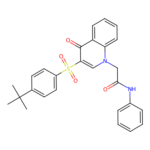 2-[3-(4-tert-butylphenyl)sulfonyl-4-oxoquinolin-1-yl]-N-phenylacetamide structure