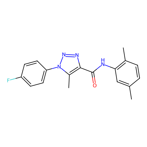 N-(2,5-dimethylphenyl)-1-(4-fluorophenyl)-5-methyl-1H-1,2,3-triazole-4-carboxamide structure