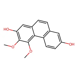 Nudol structure