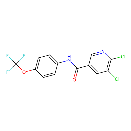 5,6-dichloro-N-[4-(trifluoromethoxy)phenyl]pyridine-3-carboxamide structure