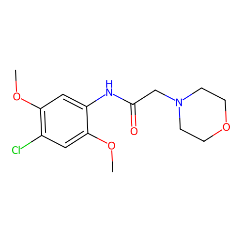 N-(4-chloro-2,5-dimethoxyphenyl)-2-(morpholin-4-yl)acetamide structure