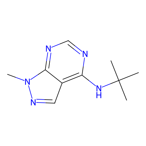 N-tert-butyl-1-methyl-1H-pyrazolo[3,4-d]pyrimidin-4-amine structure