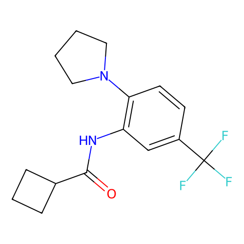 N-[2-pyrrolidin-1-yl-5-(trifluoromethyl)phenyl]cyclobutanecarboxamide structure